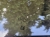 447849881_3309189569225609_5550903992964329789_n.jpg