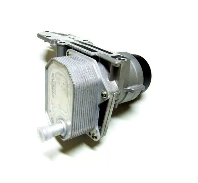 chot01.jpg