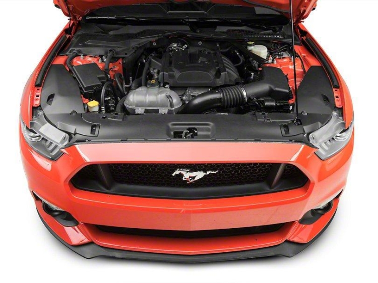 398225_alt3_1_1024x1024.jpg