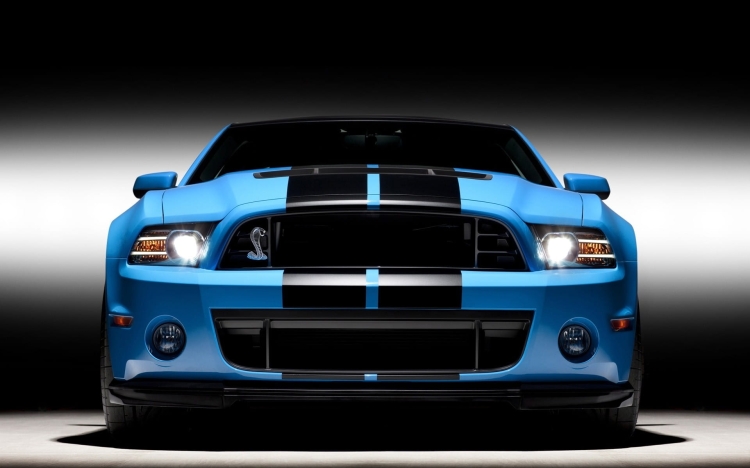 62f6b70542a08ba3556f0a36a1d8.jpg