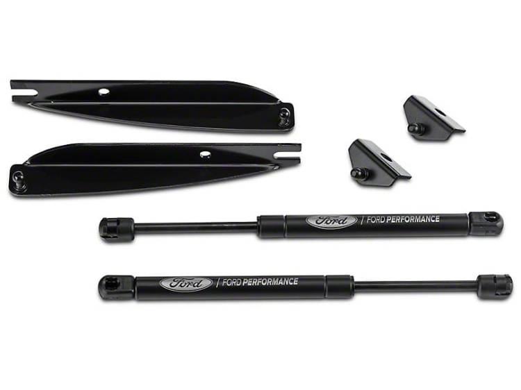 Ford_Performance_Haubenlifter_mit_Ford_Performance_Logo_05-14_All_M-16826-M_AH-SP_00097_4.jpg