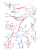 1690268.png