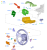 2161894.png