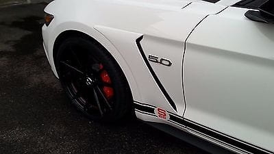 2015-2016-Mustang-GT350-style-Front-Fender-Side.jpg